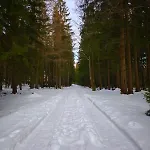 Апартаменты Gorski Widok *