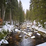 Апартаменты Gorski Widok *