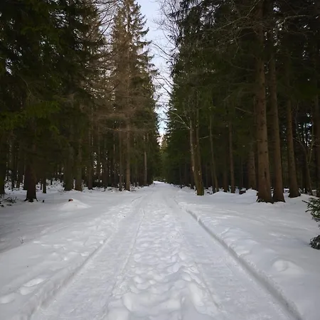 Górski Widok